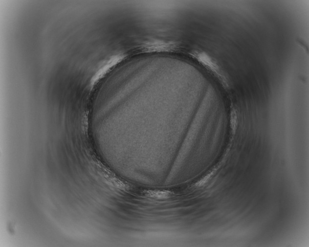 X0000099471309200805231820