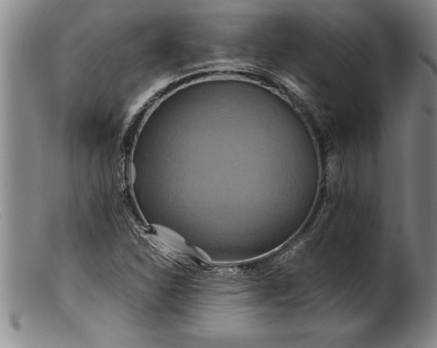 X0000099471310200805231820