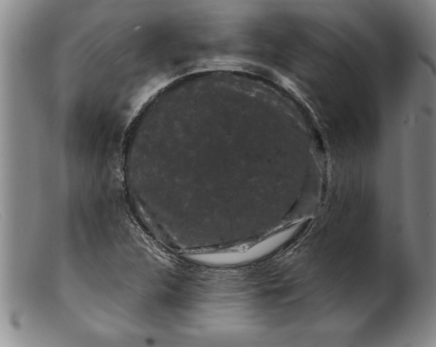 X0000099471312200805231820