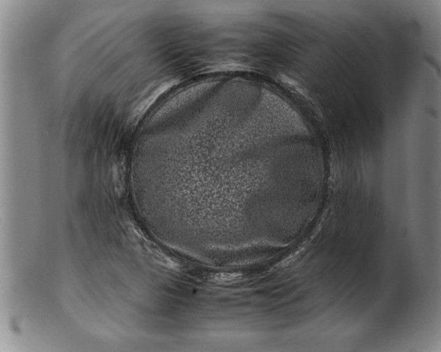 X0000099471313200805231820