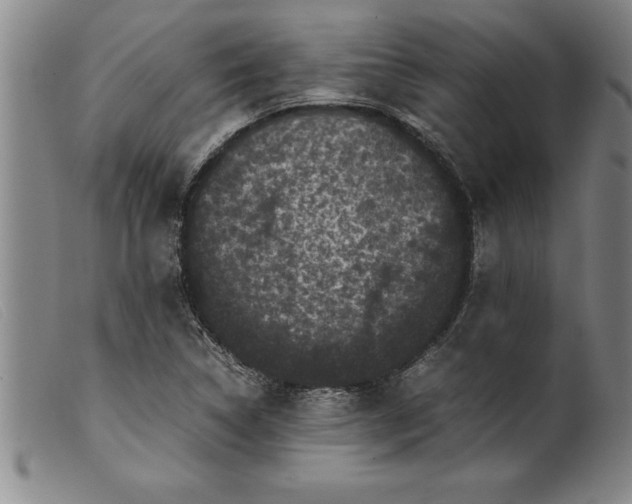 X0000099471314200805231820