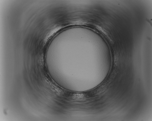 X0000099471315200805231820
