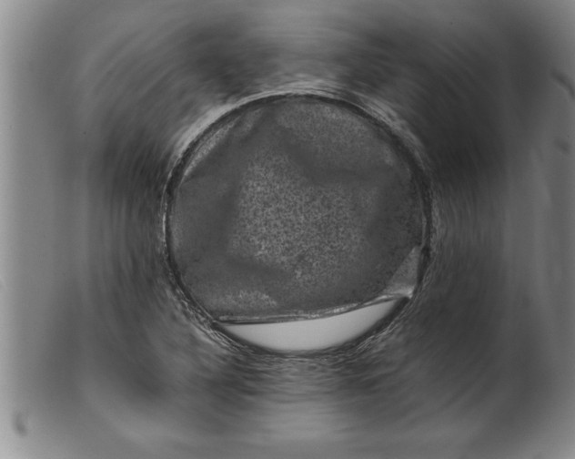 X0000099471316200805231820