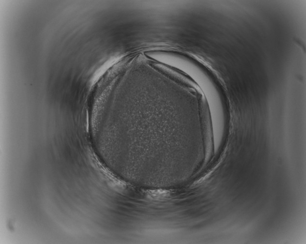 X0000099471317200805231820
