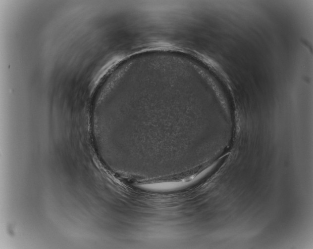 X0000099471318200805231821