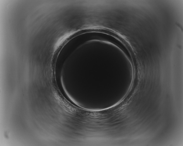 X0000099471319200805231821