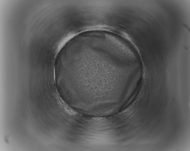 X0000099471320200805231821