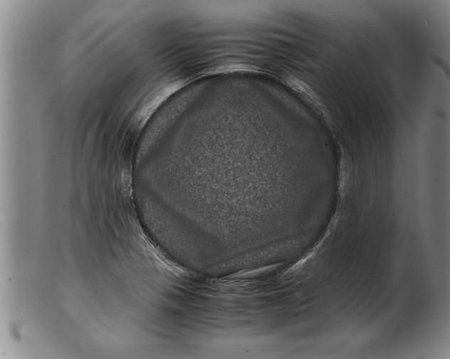 X0000099471321200805231821