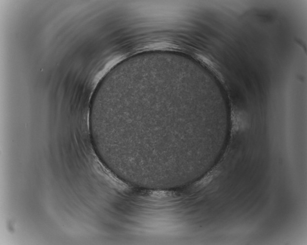 X0000099471322200805231821