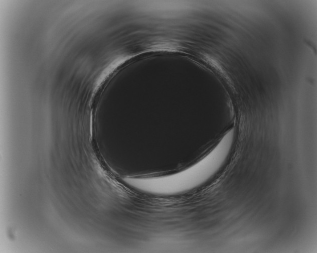 X0000099471323200805231821