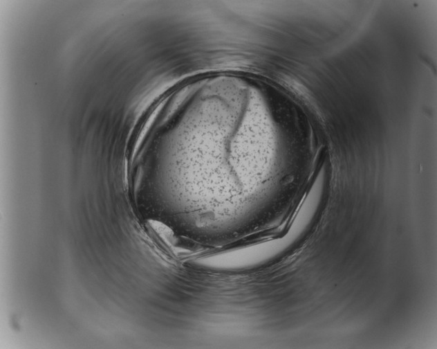 X0000099471324200805231821