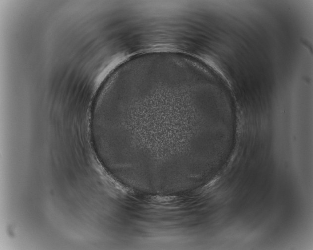 X0000099471325200805231821