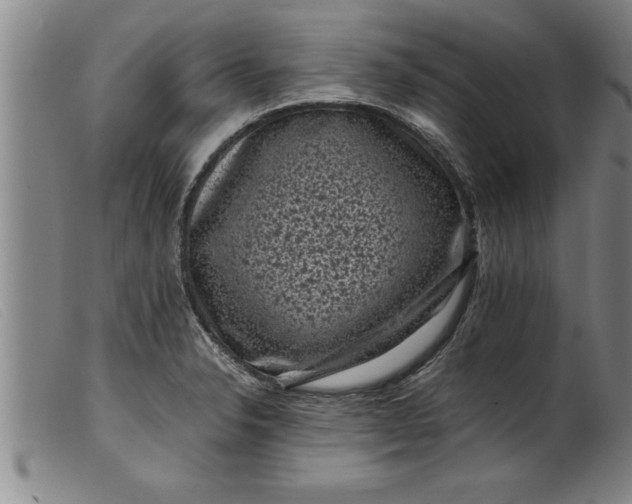 X0000099471326200805231821