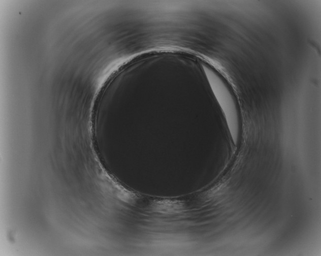 X0000099471327200805231821