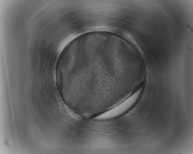 X0000099471328200805231821