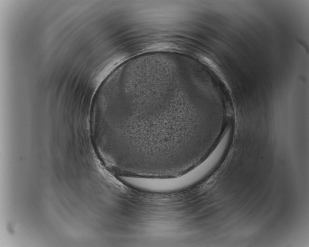 X0000099471330200805231821