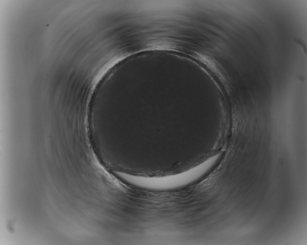 X0000099471331200805231821