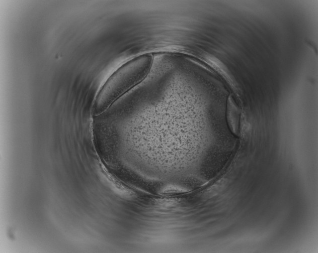 X0000099471332200805231821