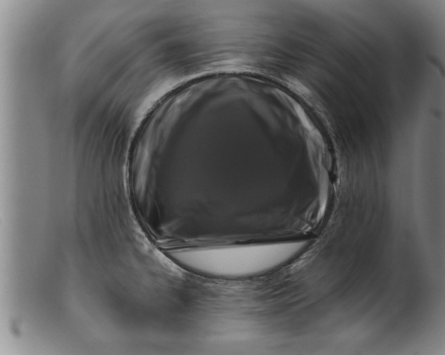 X0000099471334200805231821