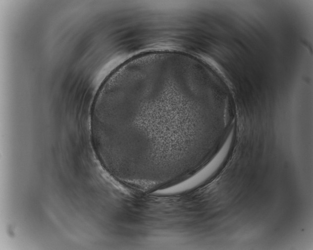X0000099471335200805231821