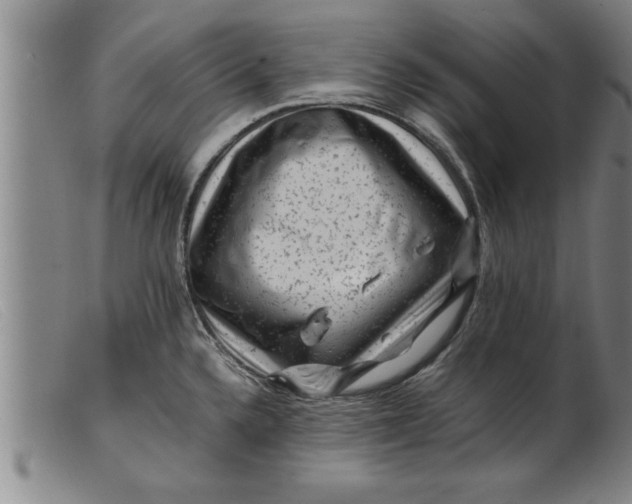 X0000099471336200805231821