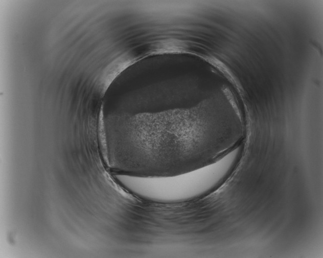 X0000099471337200805231821