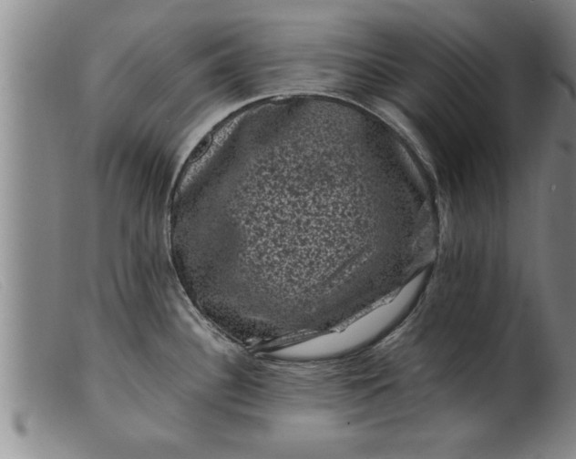 X0000099471340200805231821