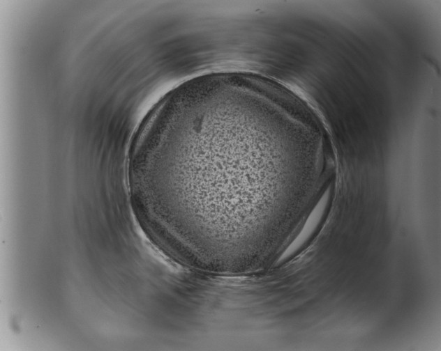 X0000099471342200805231821