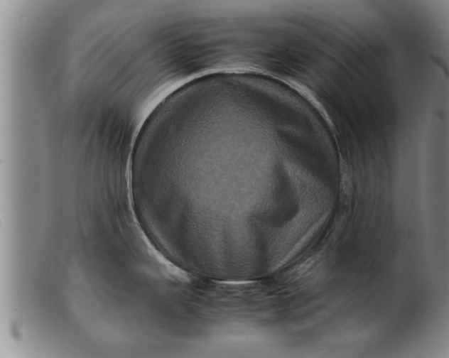 X0000099471343200805231821