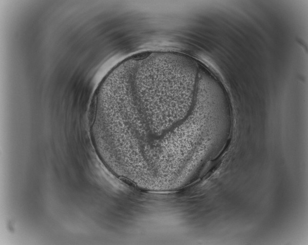 X0000099471344200805231821