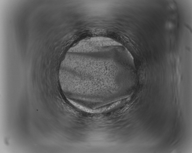 X0000099471345200805231820