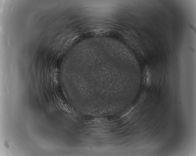 X0000099471346200805231820