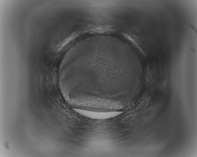 X0000099471350200805231820