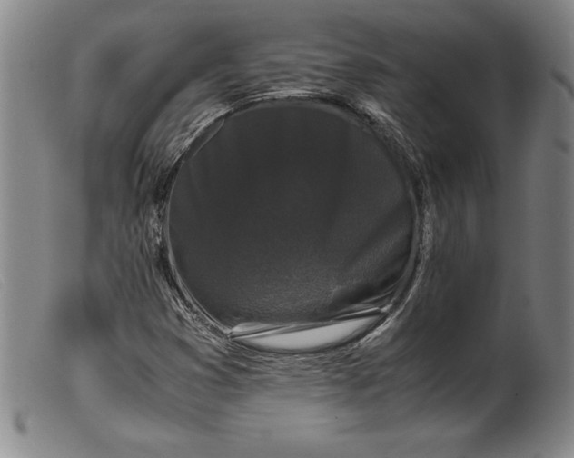 X0000099471353200805231820