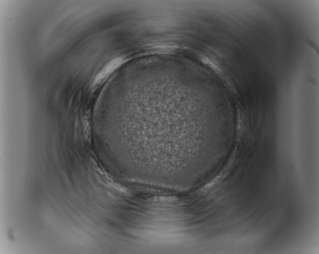 X0000099471354200805231820