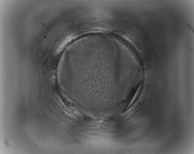 X0000099471355200805231820