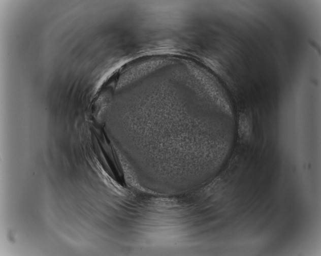 X0000099471356200805231820