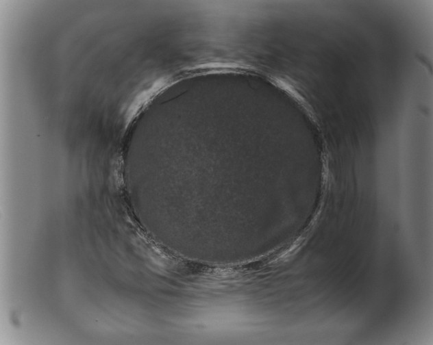 X0000099471357200805231820