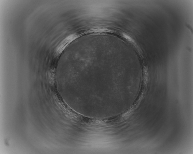 X0000099471361200805231820