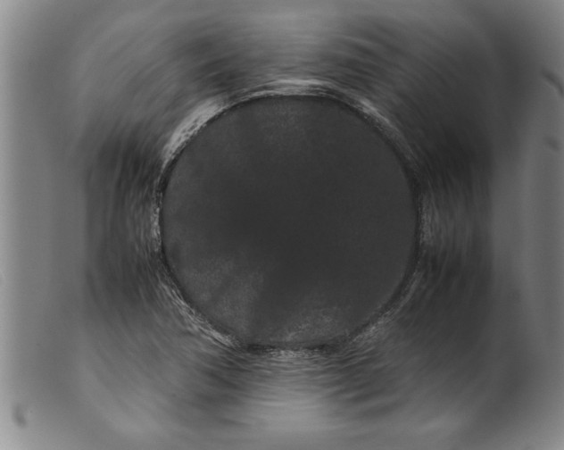 X0000099471362200805231820