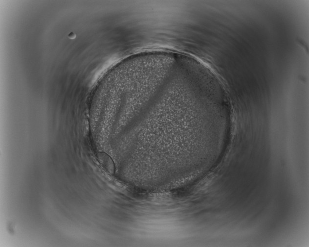 X0000099471363200805231820