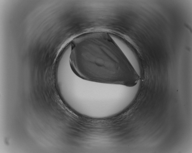 X0000099471364200805231820