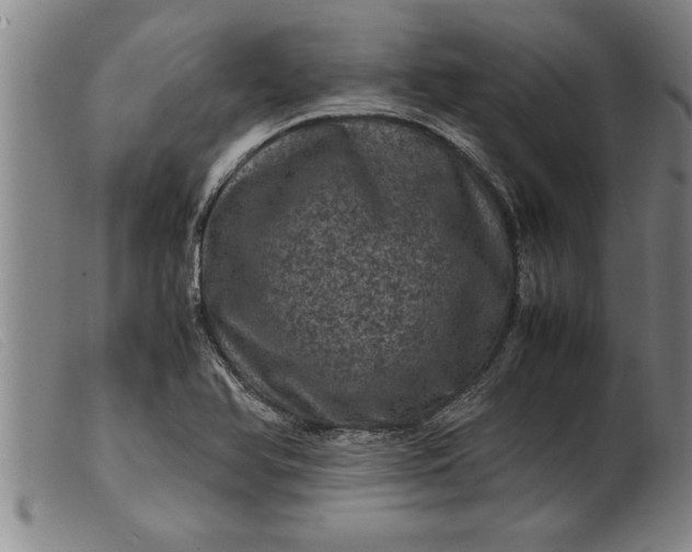 X0000099471366200805231820