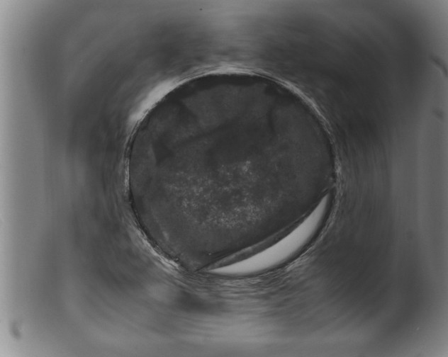X0000099471367200805231820
