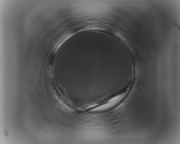 X0000099471369200805231820