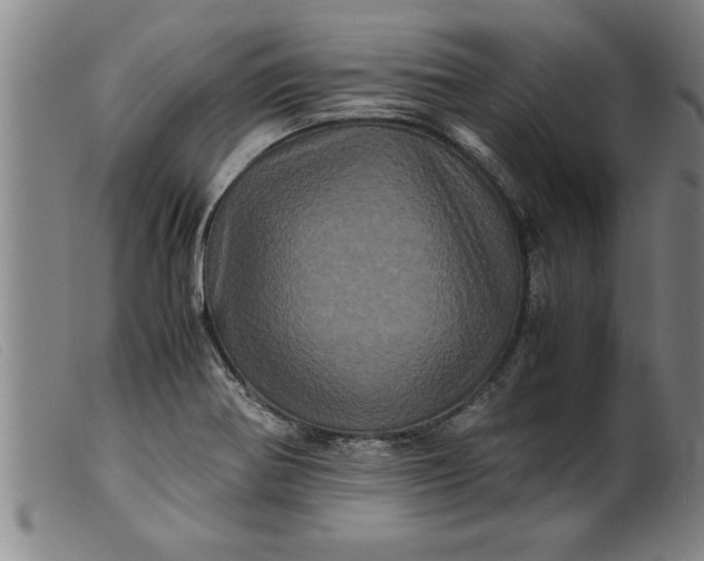 X0000099471370200805231820
