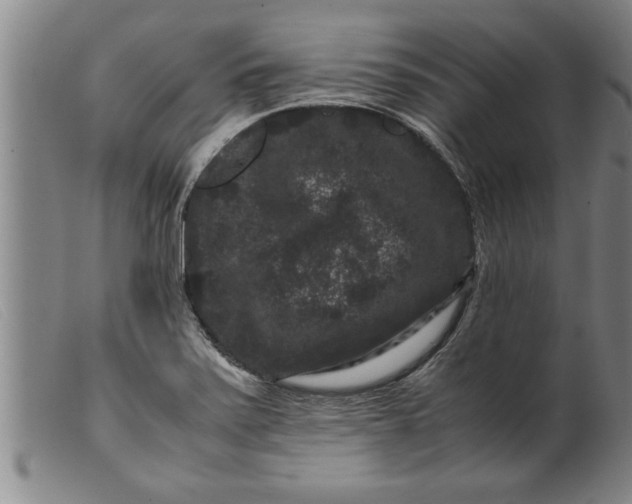 X0000099471371200805231820