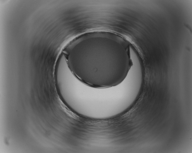 X0000099471372200805231820