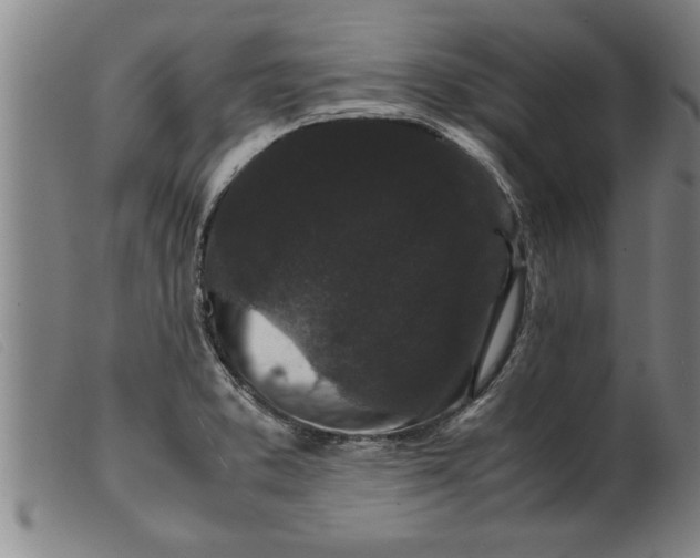 X0000099471373200805231820