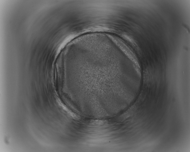 X0000099471374200805231820